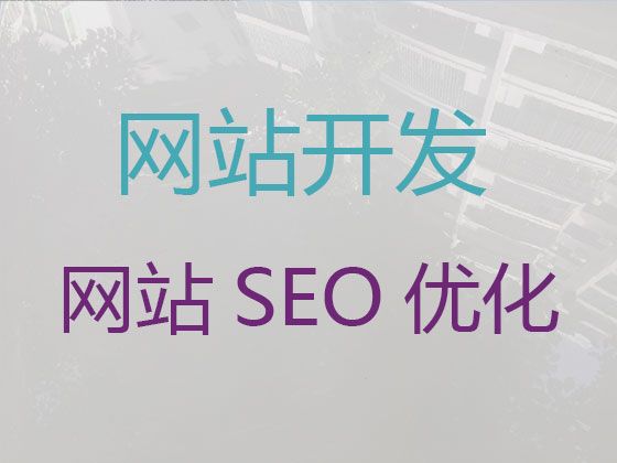 盘锦市java开源商城二次开发-小视频代运营，定制建站
