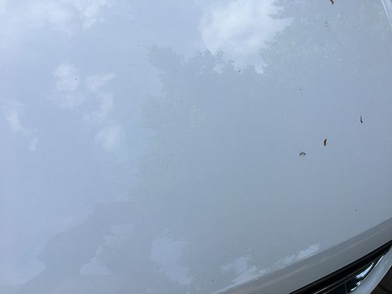 城市抗震设计新趋势：从