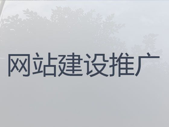 宝鸡市资讯网站设计制作|网站优化，专业团队