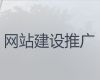 宝鸡市资讯网站设计制作|网站优化，专业团队