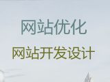 九江市企业网站建设设计-小视频代运营，多年专业建站经验