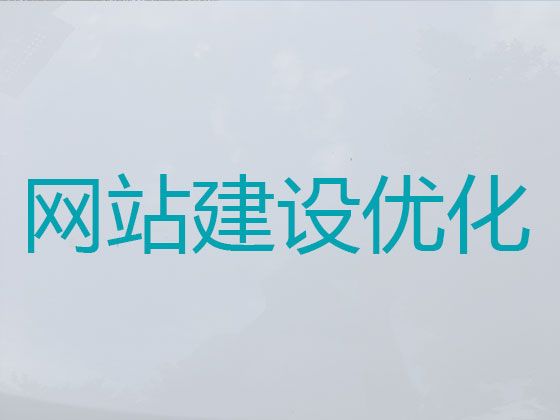 新余市网站制作设计-网站管理系统开发，多年专业建站经验