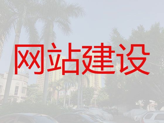 揭阳市网站设计开发@短视频推广，企业解决方案