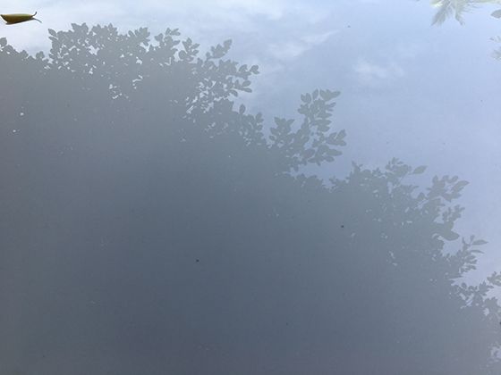 剪纸艺术如何跨越时空？古今中外的创意表达大对比